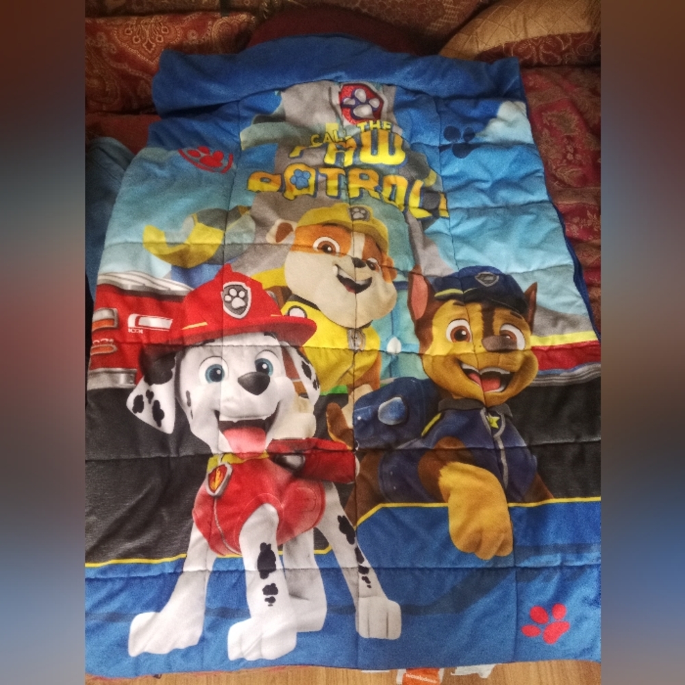 Paw patrol heavy duty insulated sleeping bag